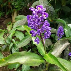 Meet your Posher, Annette